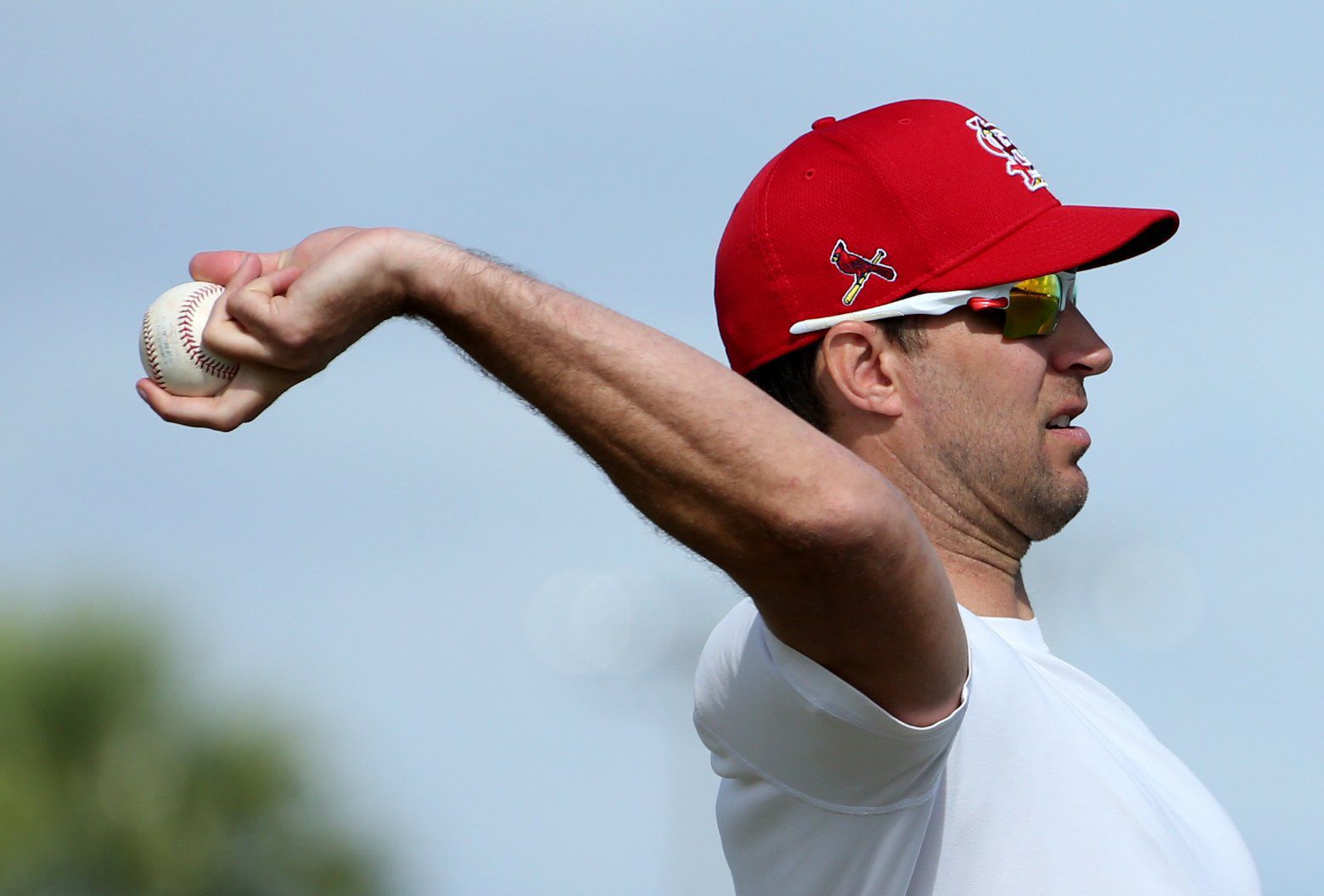 Cardinals pitchers and catchers report day